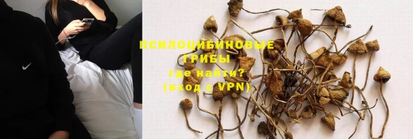 скорость Богородицк