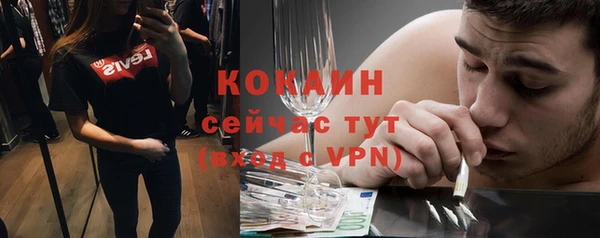 гидропоника Богданович