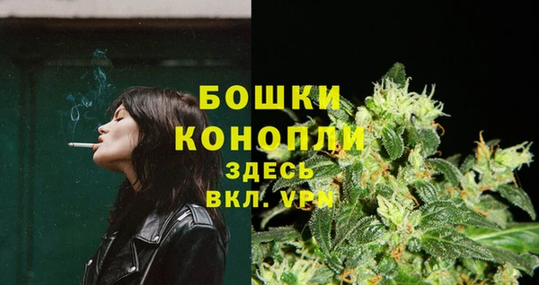 гидропоника Богданович