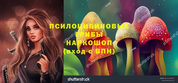 гидропоника Богданович