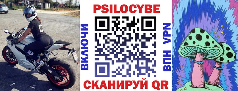 Галлюциногенные грибы Psilocybe  Калининград 